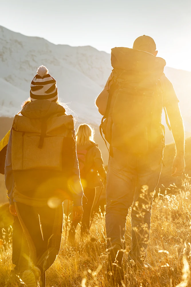 illustration Supervisions en groupe