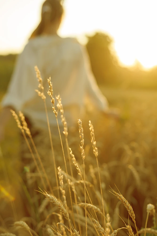 illustration Supervisions individuelles